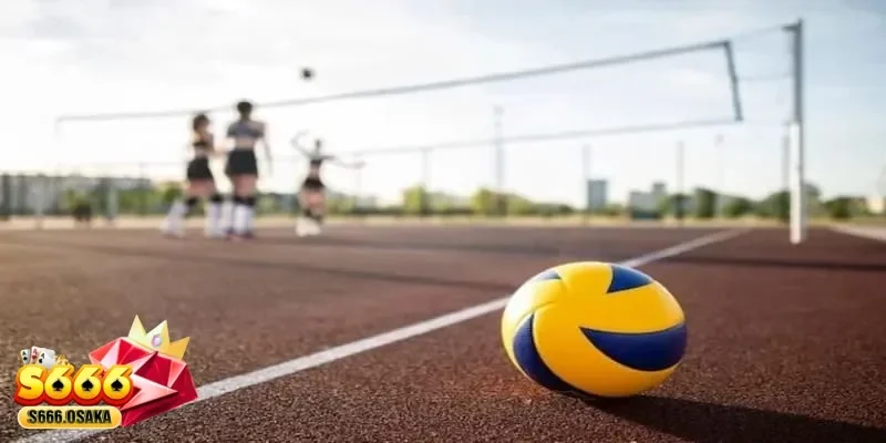 cá cược bóng chuyền