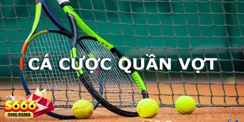 cá cược Tennis
