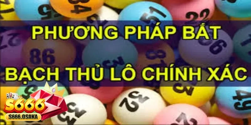 bắt bạch thủ lô 