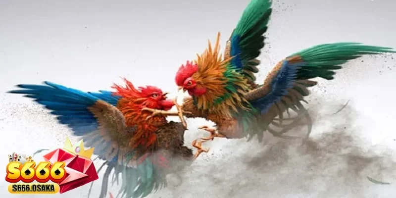 đá gà trực tiếp 