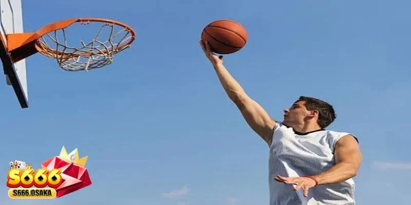 cá cược bóng rổ cá cược bóng rổ