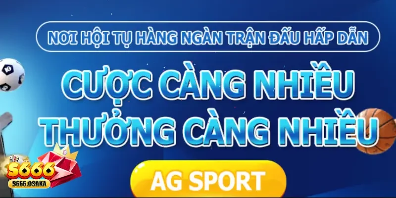 Có khả năng marketing và quản lý khách hàng