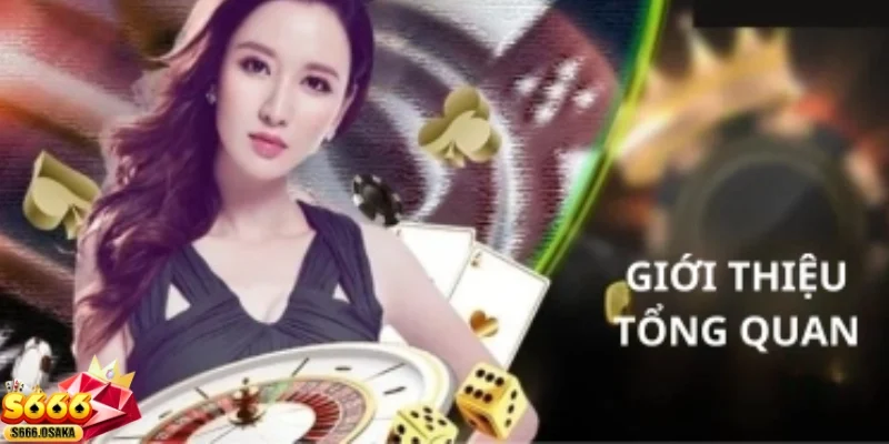 Giới thiệu S666 Giữ chân bởi đội ngũ hỗ trợ chuyên nghiệp