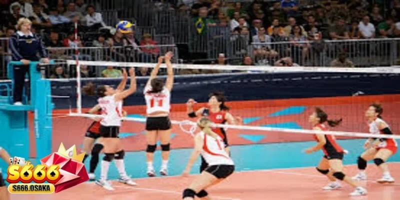 cá cược bóng chuyền cá cược bóng chuyền