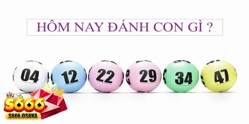 cầu lô là gì cầu lô là gì