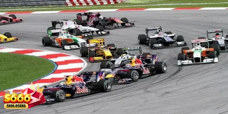 cá cược đua xe cá cược đua xe