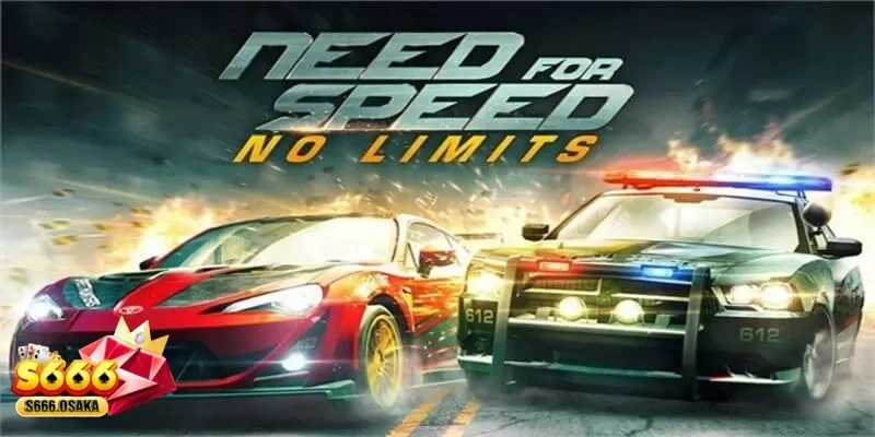 cá cược đua xe cá cược đua xe