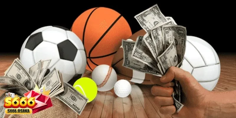 cá cược bóng rổ cá cược bóng rổ