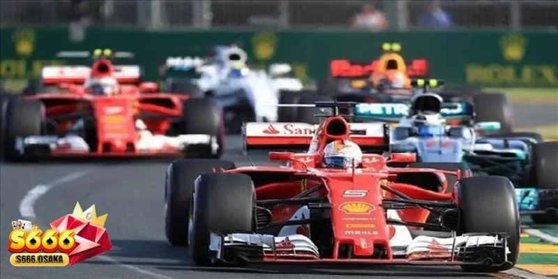 cá cược đua xe cá cược đua xe